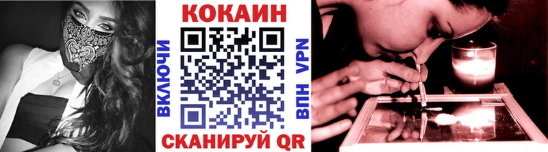 Купить где  Гусиноозёрск  Кокаин FishScale 