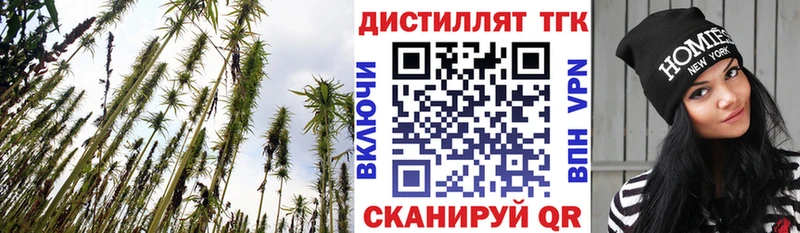 Дистиллят ТГК вейп с тгк  Купить где  Гусиноозёрск 