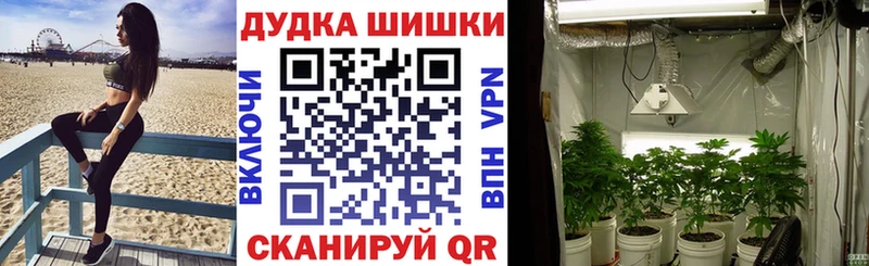 Бошки марихуана AK-47  Купить  Гусиноозёрск 